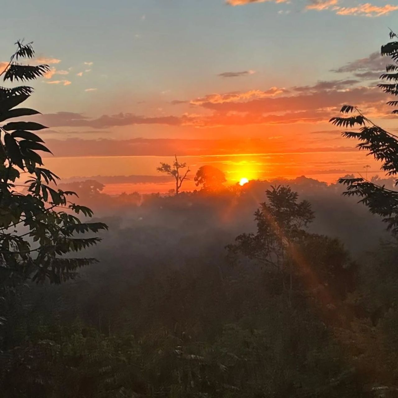 Sunrise over forest, at Ampiri.