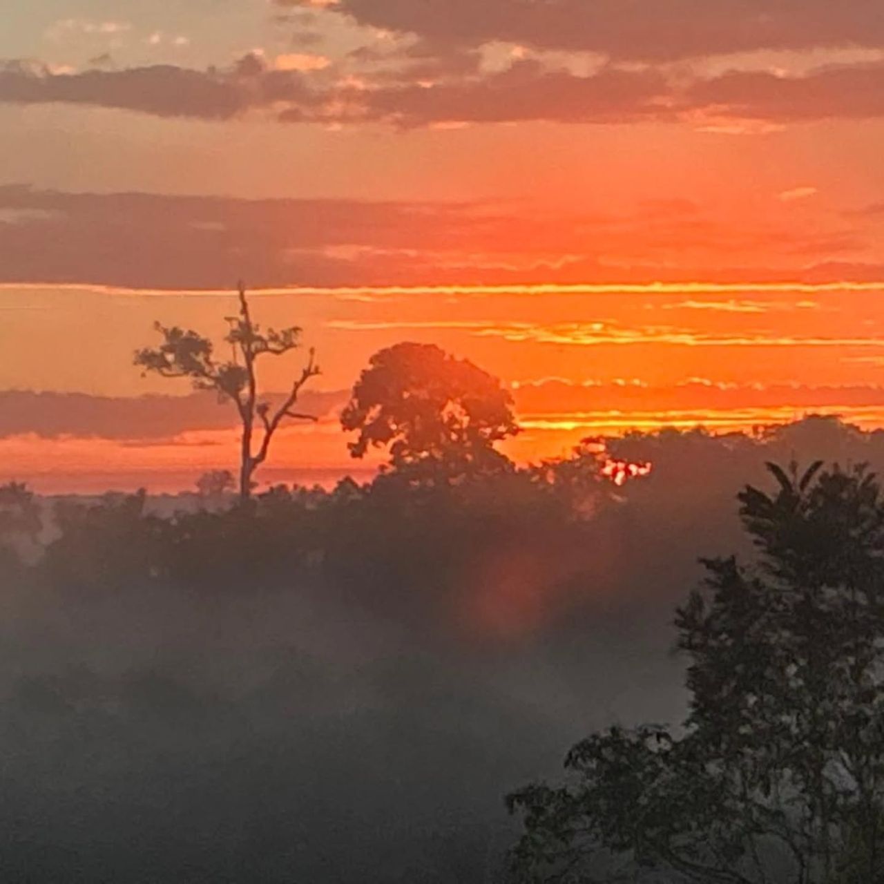 Sunrise over forest, at Ampiri.