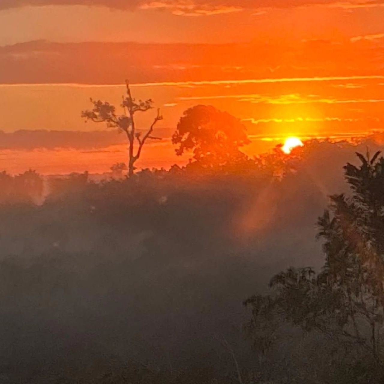 Sunrise over forest, at Ampiri.