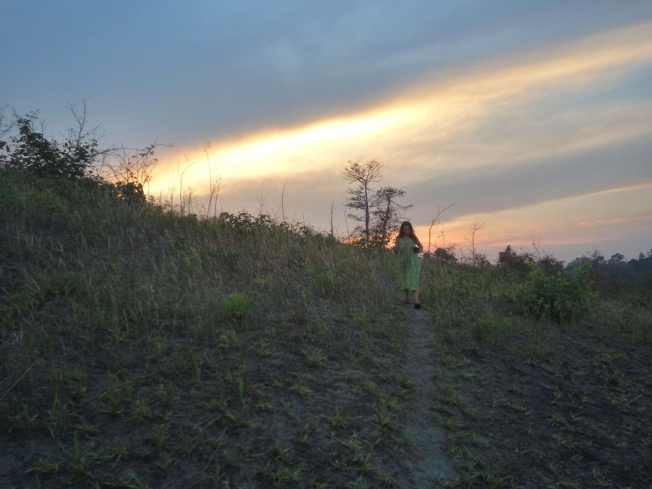 Dusk on the path through the land.